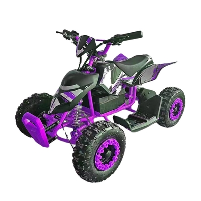 Découvrez l'excitation de notre Mini Quad Buggy ATV 500W ATV électrique pour enfants et adultes