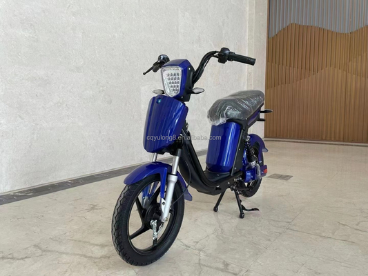 Vélo électrique à écran LCD personnalisé avec fonctionnalité simple d'alimentation assistée