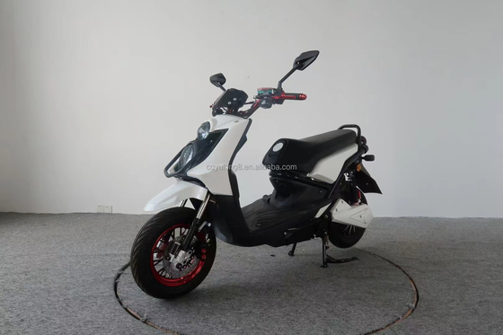 300W 500W 800W moteur sans balai en courant continu moto électrique avec frein à disque et pneu de 10 pouces