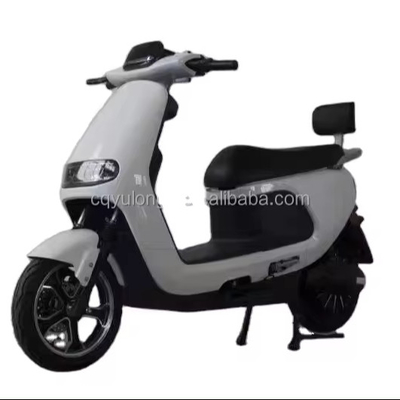 Découvrez la puissance et la vitesse de notre vélo électrique de 1500W/2000W pour les adultes