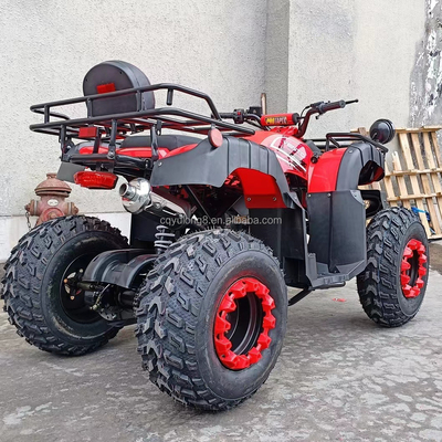Electric Start 250cc Quad Bike avec moteur de 500W et conception tout-terrain à traction d'essieu