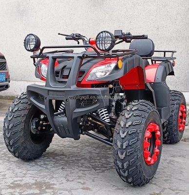 Electric Start 250cc Quad Bike avec moteur de 500W et conception tout-terrain à traction d'essieu