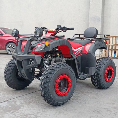 Electric Start 250cc Quad Bike avec moteur de 500W et conception tout-terrain à traction d'essieu