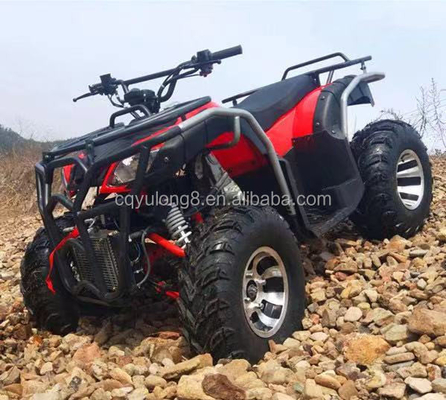 Automatique 125cc à traction en chaîne adultes 4 roues hors route ATV de montagne pour le plaisir en plein air
