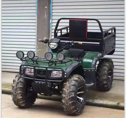 Off-road 250cc Farm Quad Bike avec transmission automatique et batterie 60V
