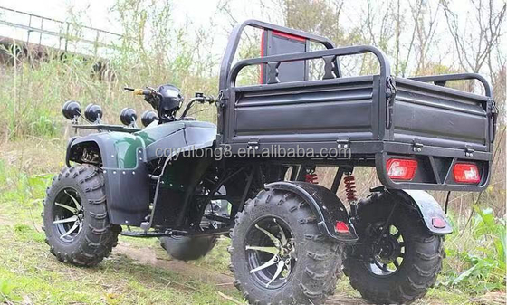 Off-road 250cc Farm Quad Bike avec transmission automatique et batterie 60V