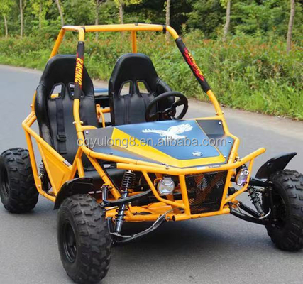 Découvrez la puissance et les performances de cette voiture tout-terrain à 2 places