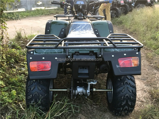 4x4 Buggy Motor ATV UTV 200cc pour adulte Transmission automatique de type Vitesse maximale 80 km/h