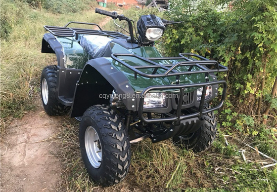 4x4 Buggy Motor ATV UTV 200cc pour adulte Transmission automatique de type Vitesse maximale 80 km/h