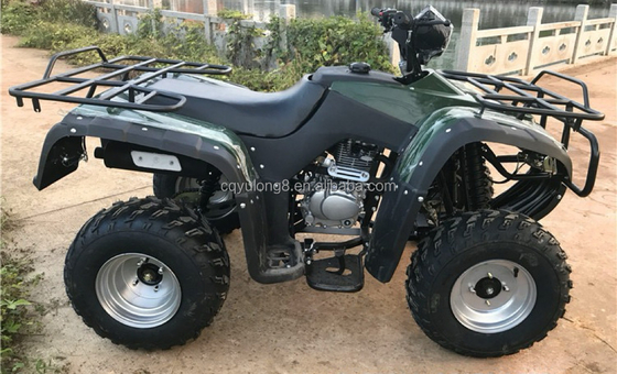4x4 Buggy Motor ATV UTV 200cc pour adulte Transmission automatique de type Vitesse maximale 80 km/h