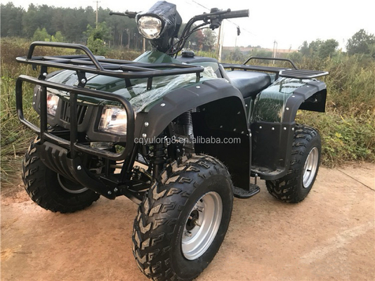 4x4 Buggy Motor ATV UTV 200cc pour adulte Transmission automatique de type Vitesse maximale 80 km/h