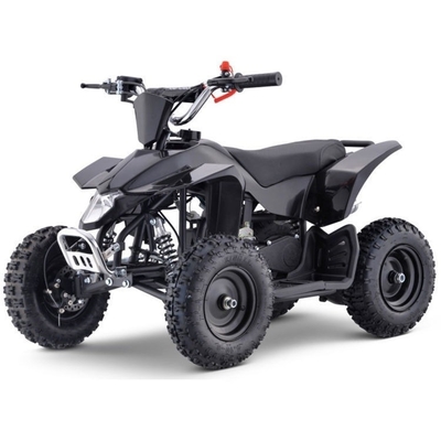 Système de freinage à disque avant et arrière de moto à trois roues électriques de 500 W pour passagers