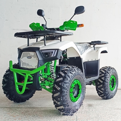 36V Mini Electric ATV Outdoor Quad pour les enfants et les adultes 800W Drive à l'arbre Off-road vélo