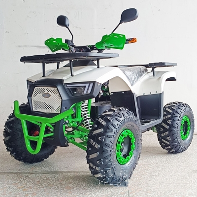 36V Mini Electric ATV Outdoor Quad pour les enfants et les adultes 800W Drive à l'arbre Off-road vélo
