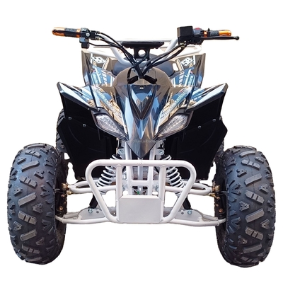 Capacité de chargement 400-1000 kg Vélo électrique pratique à quatre roues 800w Véhicule de plage