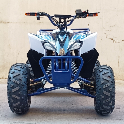 Capacité de chargement 400-1000 kg Vélo électrique pratique à quatre roues 800w Véhicule de plage