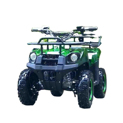 500-800W moteur à entraînement d'arbre Mini ATV Buggy électrique 4 roues Quad Bike pour enfants et adultes