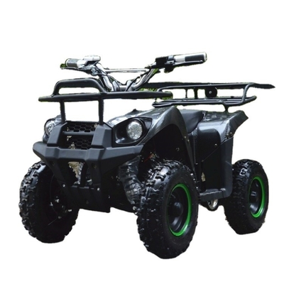 500-800W moteur à entraînement d'arbre Mini ATV Buggy électrique 4 roues Quad Bike pour enfants et adultes
