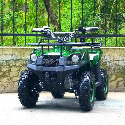 500-800W moteur à entraînement d'arbre Mini ATV Buggy électrique 4 roues Quad Bike pour enfants et adultes