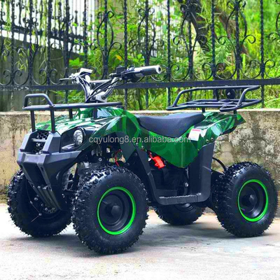 500-800W moteur à entraînement d'arbre Mini ATV Buggy électrique 4 roues Quad Bike pour enfants et adultes