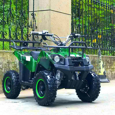 500-800W moteur à entraînement d'arbre Mini ATV Buggy électrique 4 roues Quad Bike pour enfants et adultes