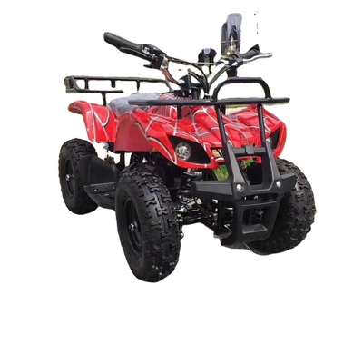 500w 36v Electric Kids Quad Bike avec batterie CE et fonction ATV Vitesse 30-50km/h 120kg