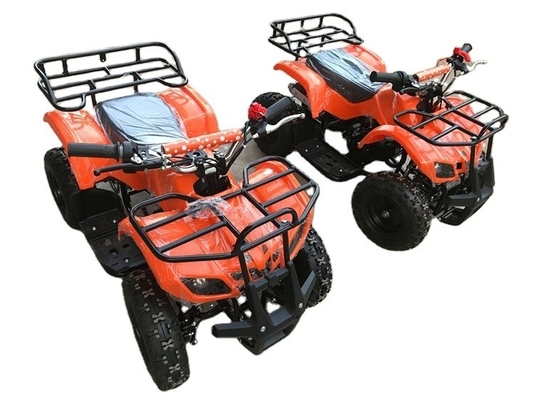500w 36v Electric Kids Quad Bike avec batterie CE et fonction ATV Vitesse 30-50km/h 120kg