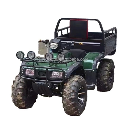 Off-road Four Wheel Motorcycle Cargo ATV UTV avec une capacité de charge utile de 100-200 kg