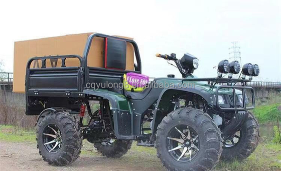 Off-road Four Wheel Motorcycle Cargo ATV UTV avec une capacité de charge utile de 100-200 kg