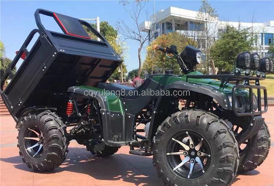 Off-road Four Wheel Motorcycle Cargo ATV UTV avec une capacité de charge utile de 100-200 kg