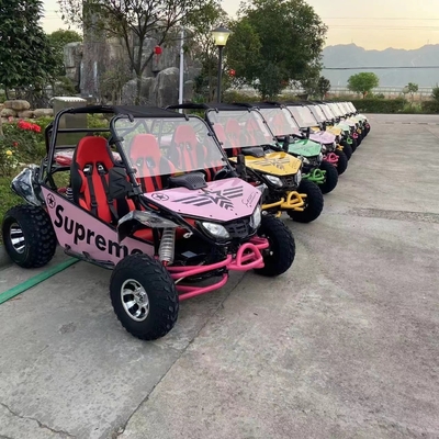 MOTO 200/250/300cc CVT UTV Dune Buggy pour la conduite des adultes Type commutable 2WD / 4WD MOTO