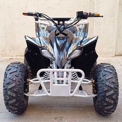 500-800W 60V entraînement à l'arbre Sport 4 roues ATV Quad Bike électrique pour enfants adulte