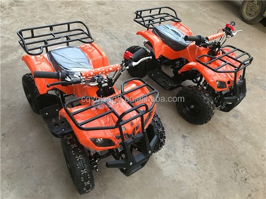 125cc Off Road ATV Quad Bike avec un design personnalisable et une capacité de réservoir de carburant ≤ 10L