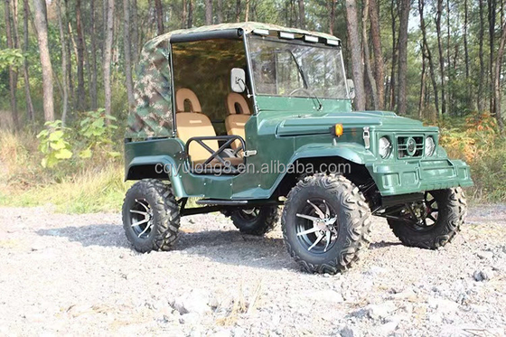 2 sièges pour adultes 200cc 300cc Système de transmission d'arbre 2WD Four Wheeler Buggy Car UTV 4x4 Jeeps