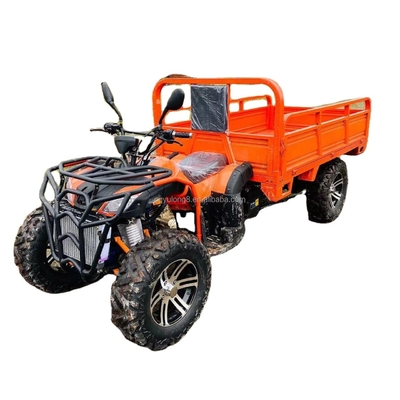 800 1000W 2 cylindres refroidi à l'eau 250CC 4X4 Buggy hors route avec des seaux de fret