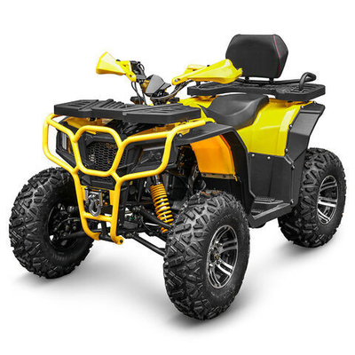 250cc Benzine ATV Quad Bike Buggy UTV 200cc Off-Road moto avec moteur puissant