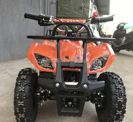 Petit Taureau 500W 36V VTT électrique pour la location d'enfants sur l'aventure Safari hors route