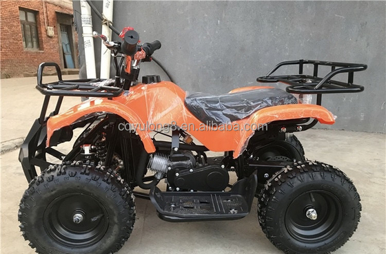 Petit Taureau 500W 36V VTT électrique pour la location d'enfants sur l'aventure Safari hors route
