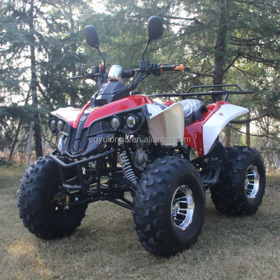 Véhicule tout-terrain adulte personnalisable de 125 cc avec moteur naturel refroidi à l'air