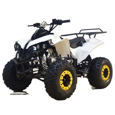 49cc 50cc 125cc à essence Mini Quad Bike ATV pour enfants ou adultes 1000-1400mm