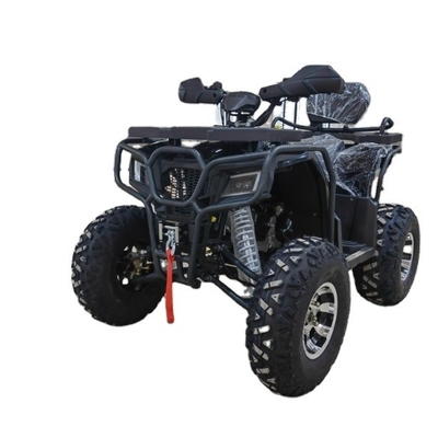 4WD ATV Quad Bike Buggy UTV Go Kart 250CC avec une largeur minimale de 200-250 mm