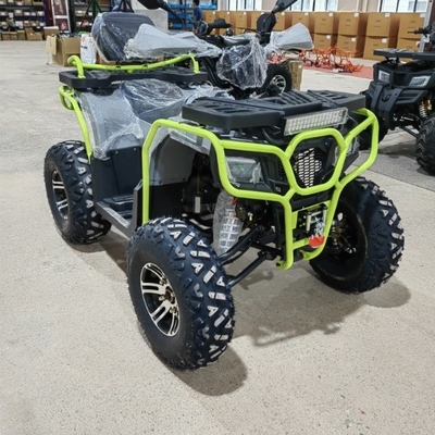 4WD ATV Quad Bike Buggy UTV Go Kart 250CC avec une largeur minimale de 200-250 mm