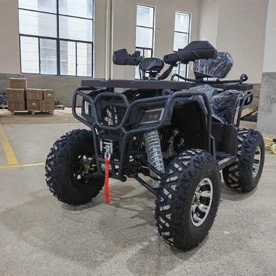Disque avant frein à disque arrière 150CC 200CC 250CC ATV Quad Bike pour les aventures hors route