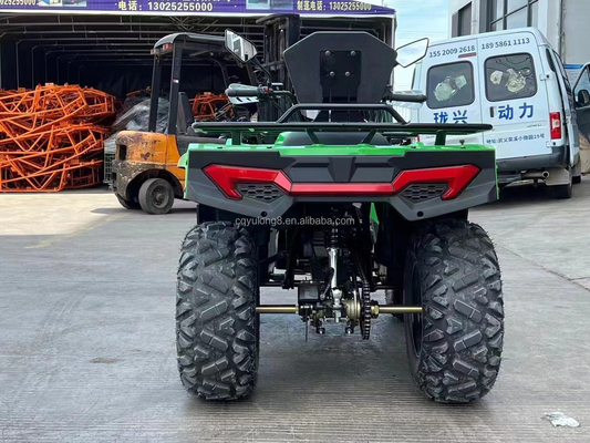 Chain Drive 300cc Jeu de sport en plein air Quad Bike électrique pour adultes 4x4